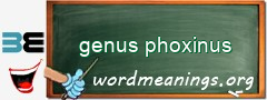 WordMeaning blackboard for genus phoxinus